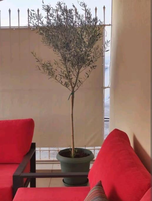 7Th Floor Spacious Veranda In The Heart Of Aten Exteriör bild